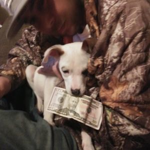 Meet your Posher, Trevor